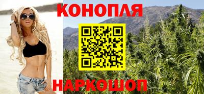 стафф Моздок