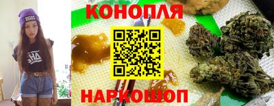 гидра Можайск