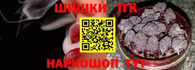 сатива Можга