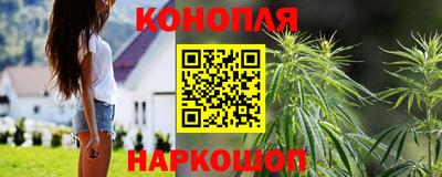 гидра Можайск