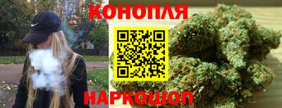 стафф Моздок
