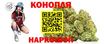гидра Можайск