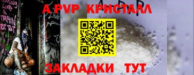 сатива Можга